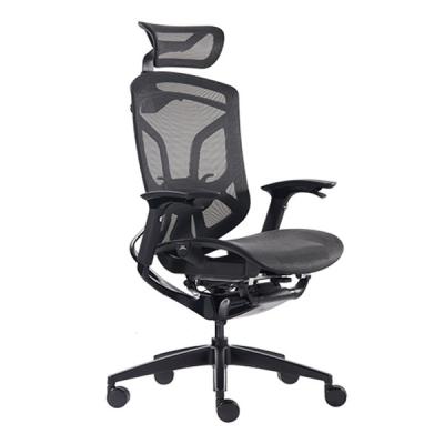 China Ergonomic Office Chair With Adjustable Seat Depth  Ergo Sit High Back Mesh Chair for sale