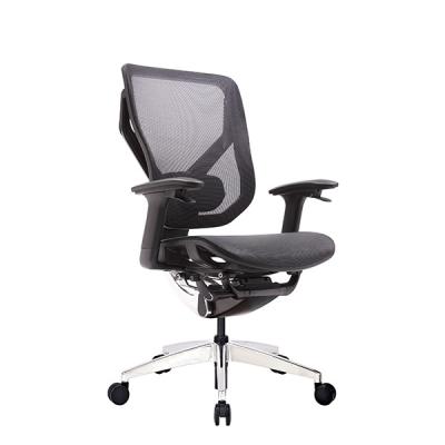 China Vida X Mesh Ergonomic Executive Chair Office With Lumbar Support for sale