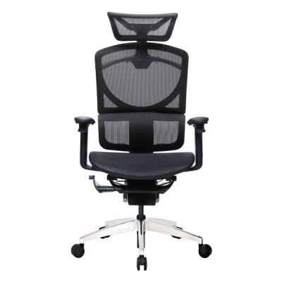 중국 Home Meeting Mesh Desk Office Chair With Back Support Adjustable 판매용