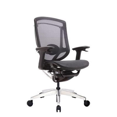 China EN 1335 MARRIT Full Mesh Ergonomic Office Chair Revolving Chair For Back Pain for sale