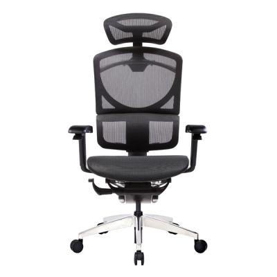 China High Back Arm Control Mechanism Duo Back Lumbar Support Adjustable Office Chair for sale