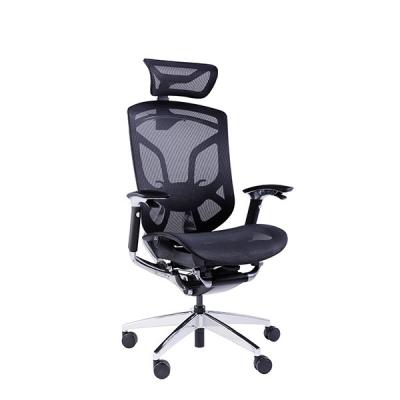 China Ergo Mesh Adjustable Office Chair Lumbar Manager Mid Back Ergonomic for sale