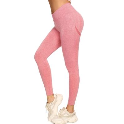 China Breathable Women Workout Fitness Gym Wear Yoga Pants Gaiters Workout Sports Wear For Women Running Clothes for sale