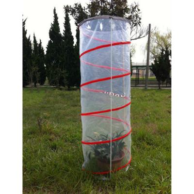 China Outdoor Poly Tunnel Greenhouse Easily Assembled Transparent Plant Tunnel Greenhouse Garden Greenhouse for sale