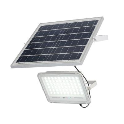 China Garden Plant Hot Sale Outdoor Solar Flood Lighting Light Garden for sale