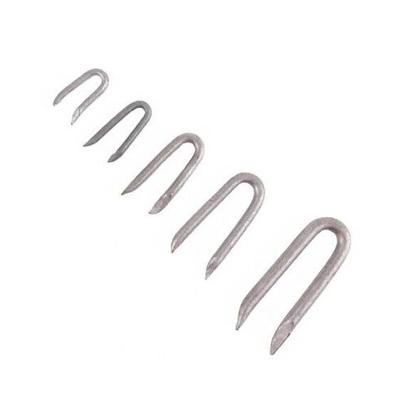 China Wholesale U Head Galvanized Barbed U Head Type Nails Carbon Steel Fence Staple U Nail for sale