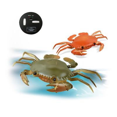 China Mini Plastic Toy Remote Control RC Crab Toys For Kids Amusement Play 22.5 x 18 x 6cm for sale