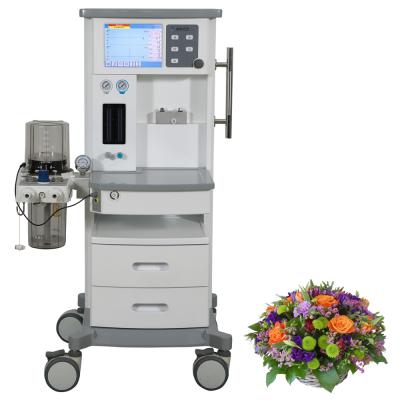 China Air/O2/N2O Hospital Animal Clinic Veterinary Anesthesia Machine for sale