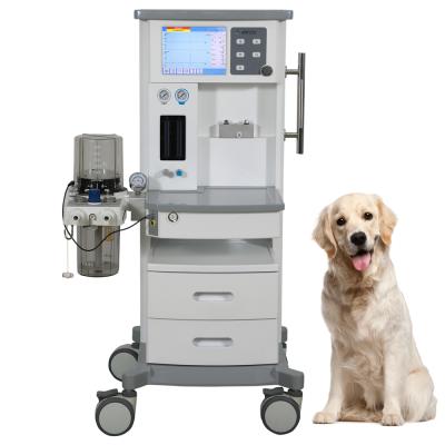 China Hospital Dog Cat Pet Health Care Animal Anesthesia Machine 10.4TFT Color Screen for sale