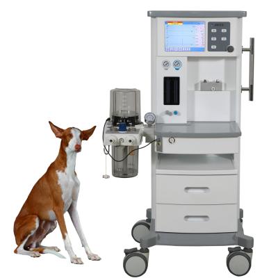 China Hospital Anesthesia Machine Veterinary Dog Cat Acrylic, Metal, Plastic, Steel, Wood, Resin for sale