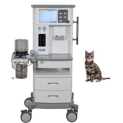 China Class II Veterinary Hospital Anesthesia System With Ventilator for sale