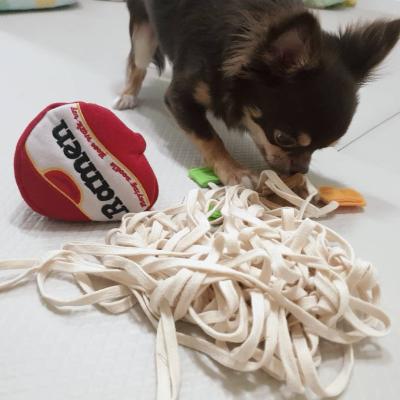 China Viable Puppy Sniffle Skin Feeding Toy Traning Toy Ramen Sniffing Interactive Noodles Search Durable Puzzle Dog for sale