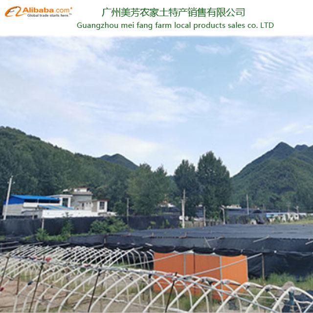 Verified China supplier - Guangzhou Meifang Farm Local Products Sales Co., Ltd.