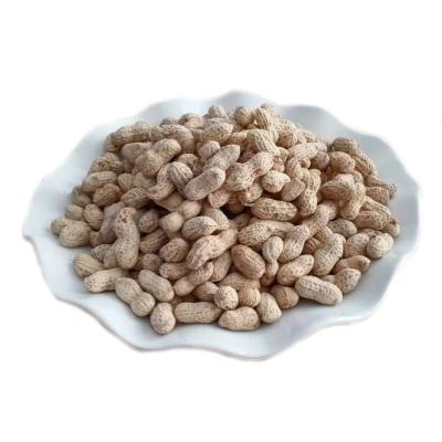 China Wholesale Flavored Peanuts Dried Chinese Snacks Brine Peanuts Salted Peanut Deep Fryer for sale