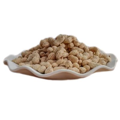 China Productive Bulk Packing Dry Salted Snacks Brine Is Peanuts Dry Salted Roasted Peanuts for sale