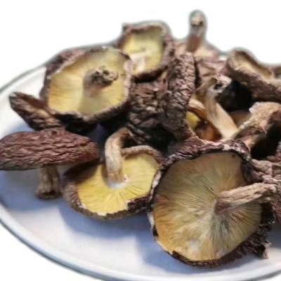 China Chinese traditional foods dry shed spores for sale shiitake mushroom spores hot sale for sale