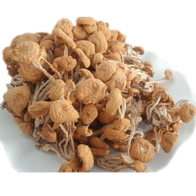 China Wholesale High Quality Delicious White Mushroom Dry Tea Mushroom for sale