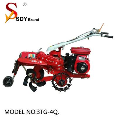 China Multi-Functional Farm Management Machine Diesel Engine Power Tiller zu verkaufen