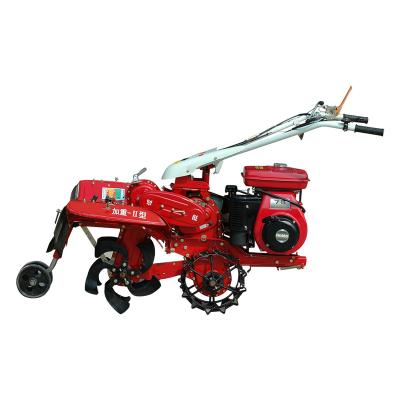 China Ditching Machine For Potatoes Mini Power Tiller High Productivity zu verkaufen