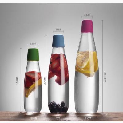 China Hot New Products 800ml Sustainable For 2021 Pyrex Borosilicate Glass Eco-friendly Custom Water Bottle for sale