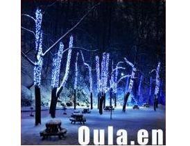 China 30 Iluminação de Natal de LED ao ar livre grânulos 5050 SMD com controlador para decorações à venda