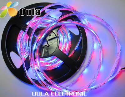 China 3528 SMD Emergency RGB Flexible LED Leiste leuchtet mit CE, ROHS wasserdicht & Non Waterpoof zu verkaufen