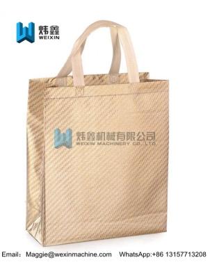 China Factory Directly Provide China  Supplier Wholesale Glitter non woven bag for sale