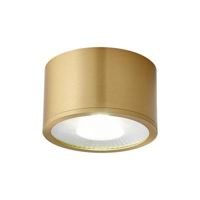 China Surface Mounted 2020 New Products Hot Selling Luxury Cylindrical Ceiling Light for sale