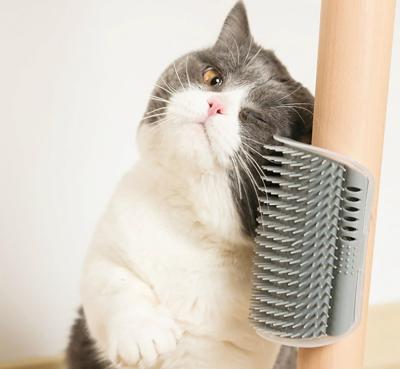 China Stabilized Feeds Cat Corner Scratching Rubbing Brush Comb Pet Scratcher Hair Removal Massage Comb Sustainable Pet Grooming for sale