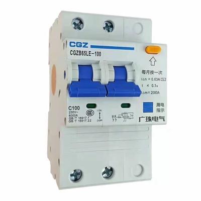 China 2 pole miniature circuit breaker china made 4ka/6ka for sale