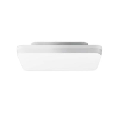 China Outdoor Mounted Daylight Color Temperature Coolwhite Warmwhite 180-265V Dining Kitchen Light Indoor Ceiling for sale