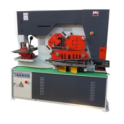 China 90 Ton Small Hydraulic Ironworker Q35y-20 Punching Shearing Machine Angle Iron Shear for sale