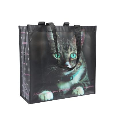 China Eco - Friendly Non Woven Laminated Non Woven Bags Custom Printed Non Woven Tote Bag for sale