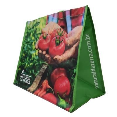 China Sustainable Eco-Friendly Advertising Fruit Packet Engraving Printing Printing Opp Film Cloth 120gsm Vegetable PP Woven Shopping Bag Supermarket for sale