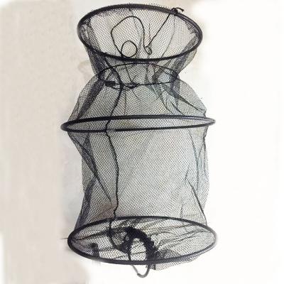 China Mesh Fishing Cage Folding Plastic Bottle Shaped Fishing Net Portable and Durable Perfect for Keeping Fish for sale