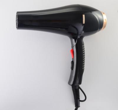 China BBS-8900 Salon BBS-8900 Professional Induction Function Motor Hot Selling Ionic DC Blow Hair Dryer for sale