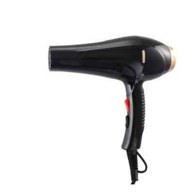 China Other Gorgeous Professional Quick Drying Salon Ac Motor 3500w Hair Dryer Blow Dryer for sale