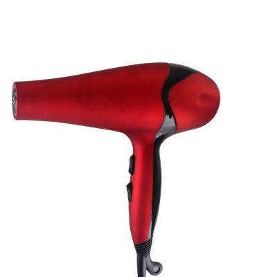 China 2022 New Style Professional Custom Luxury Fashional Electric Family And Barber Use Hair Dryer for sale