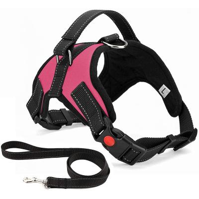 China DETACHED Adjustable Soft Padded Dog Vest No-Pull Pet Harness with 2 Leash Clips for sale