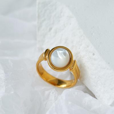 China Vintage 18K Gold IP Plated Unique Oval Band Stainless Steel Finger Ring Cowrie Shell Rings Jewelry Women for sale