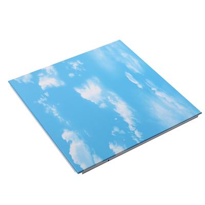 China Artistic ceilings ceiling panel / fire protection pvc ceiling panel high quality for sale