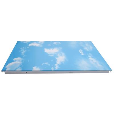 China Artistic ceilings ceiling panel / fire protection pvc ceiling panel high quality for sale