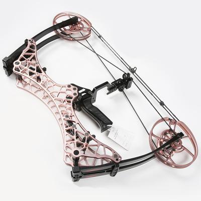 China Higher Quanlity High Speed ​​Short Shaft Compound Bow Better For Archery Shooting Competition Archery For Hunting for sale