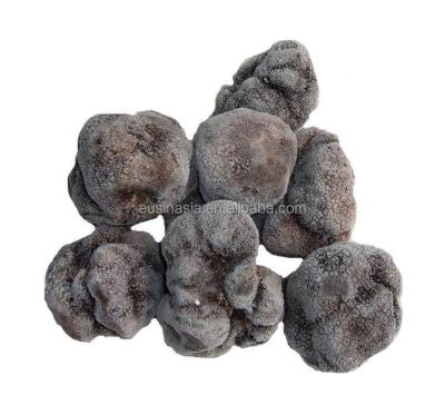 China FROZEN market price of wild mushroom tuber Indicum black dried fresh frozen truffle for sale for sale