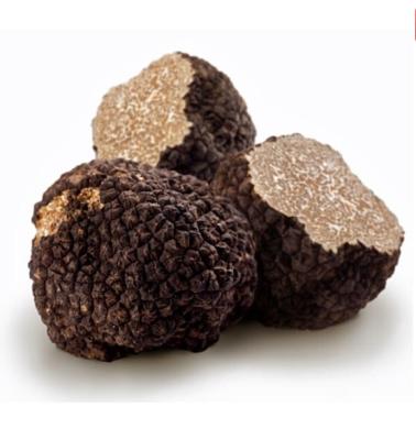 China Fresh Wholesale Wild Black Truffle for sale