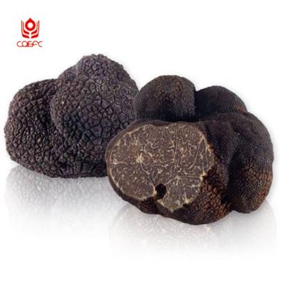 China FROZEN New Culture Tuber Indicum Black Truffle for sale