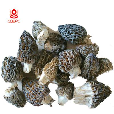 China Europe Dried Grade Dried Nightshade Mushrooms For Sale for sale