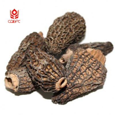 China Dry black nightshade msuhroom supply stably price for sale