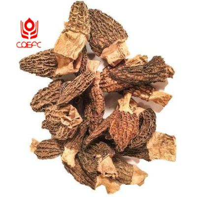 China Dried dry stem morchella price 2-6 cm nightshade mushrooms for sale