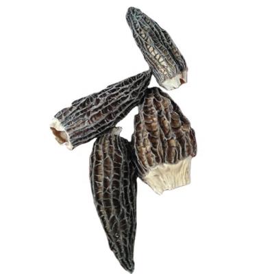 China Morchella Conica Dried Wild Cultivated Price Of Black Dried Nightshade Mushrooms For Sale for sale